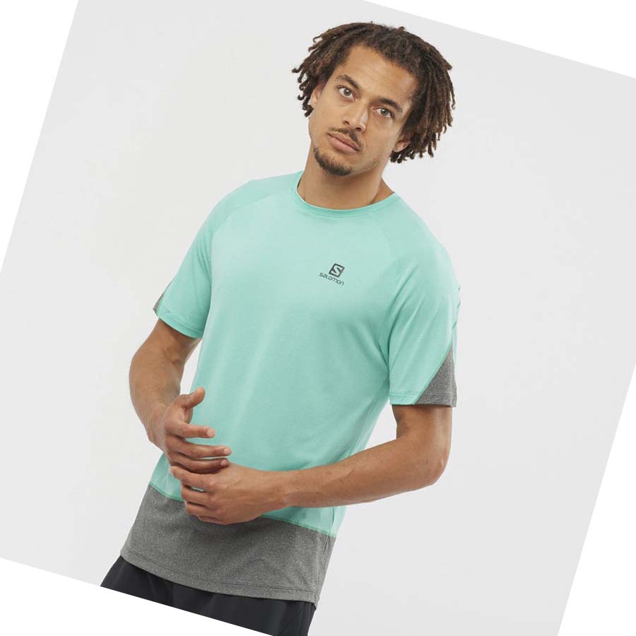 Camiseta Salomon CROSS RUN Hombre Verde Menta | MX 3227WNB